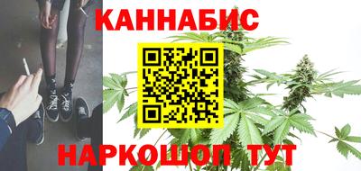 стаф Аргун