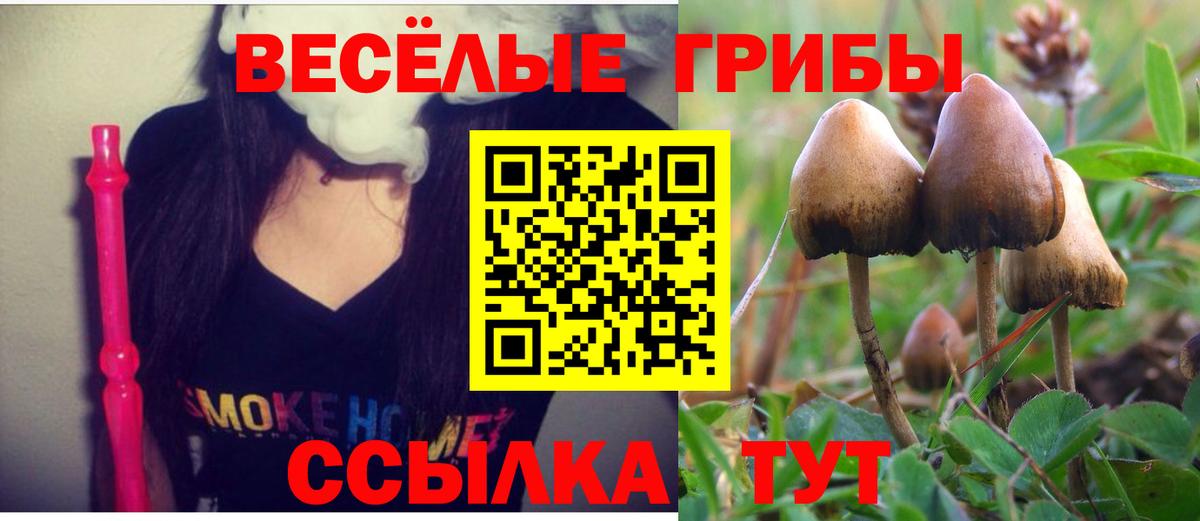 Псилоцибиновые грибы прущие грибы  где можно купить наркотик  Великий Новгород  Вход с VPN 